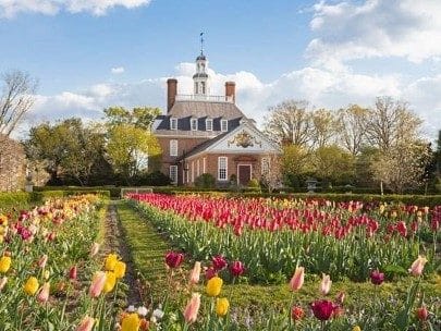Historic building at the end of a large open field filled with colorful tulips