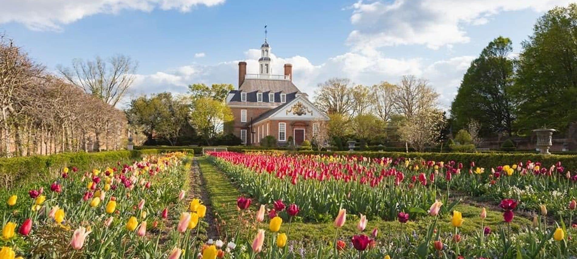 Historic building at the end of a large open field of brightly colored tulips