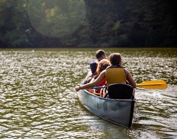 Four people in a canoe on a small body of water surrounded by trees